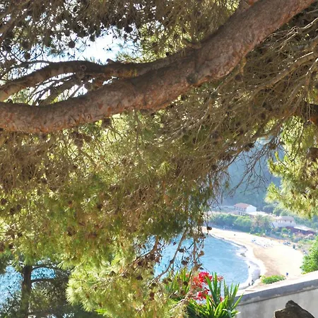 Apartament With Large Swimming Pool And Sea View At Beach, Corfu Pelekas
